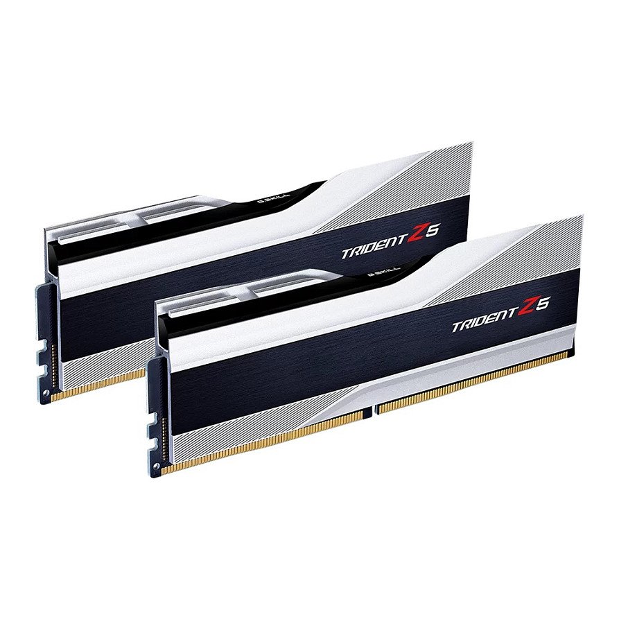 64GB G.Skill DIMM 6000 (2x 32 GB) Dual-Kit · F5-6000J3238G32GX2-TZ5S