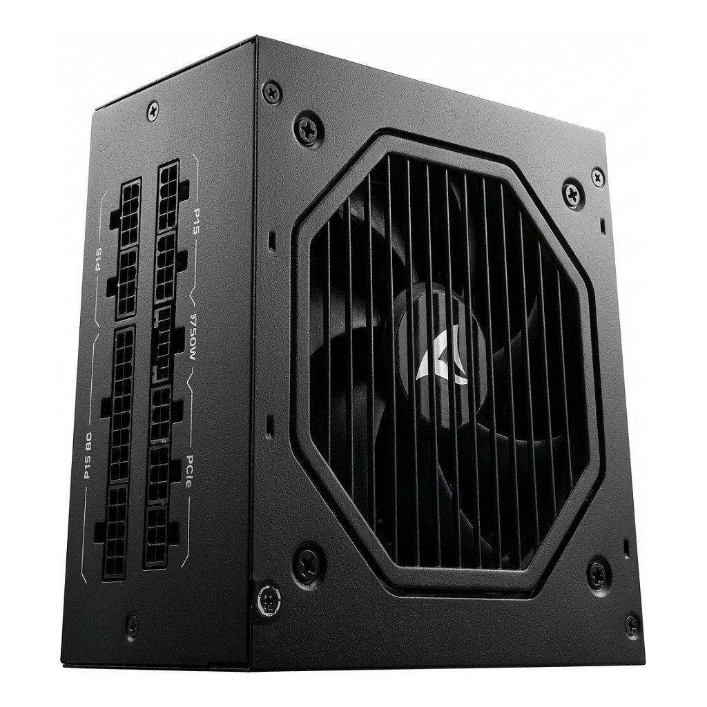 SHARKOON 750WSharkoon Rebel P15 750 (1x 12-Pin High Power GPU, 4x PCIe, Kabelmanagement, 750 Watt)